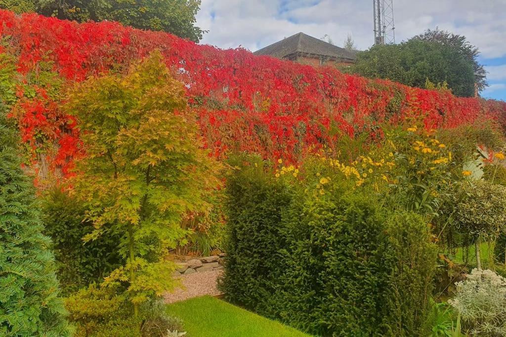 Clairville : Georgian Suite - Central Ross-On-Wye Dış mekan fotoğraf